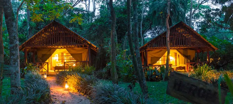 Kibale forest camp