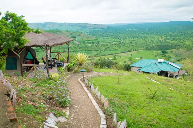 Eagle's nest camp