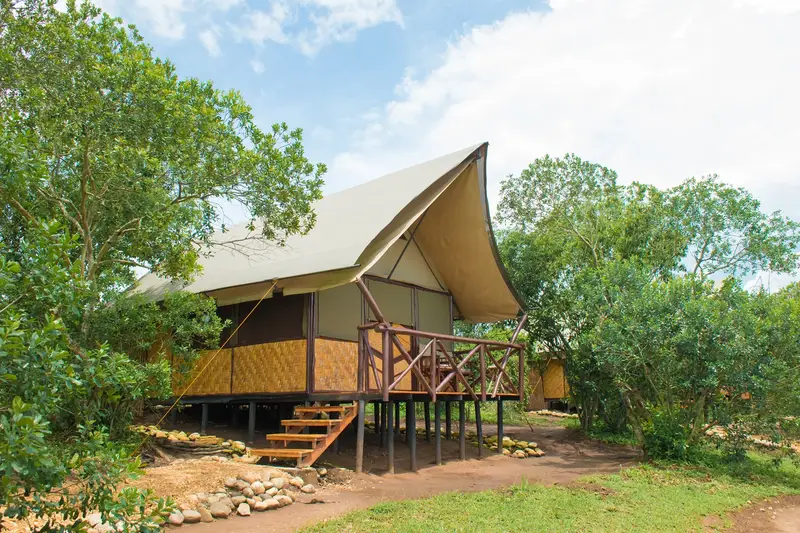 The bush lodge