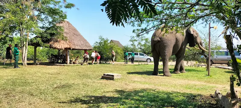 Engiri Game Lodge and Campsite