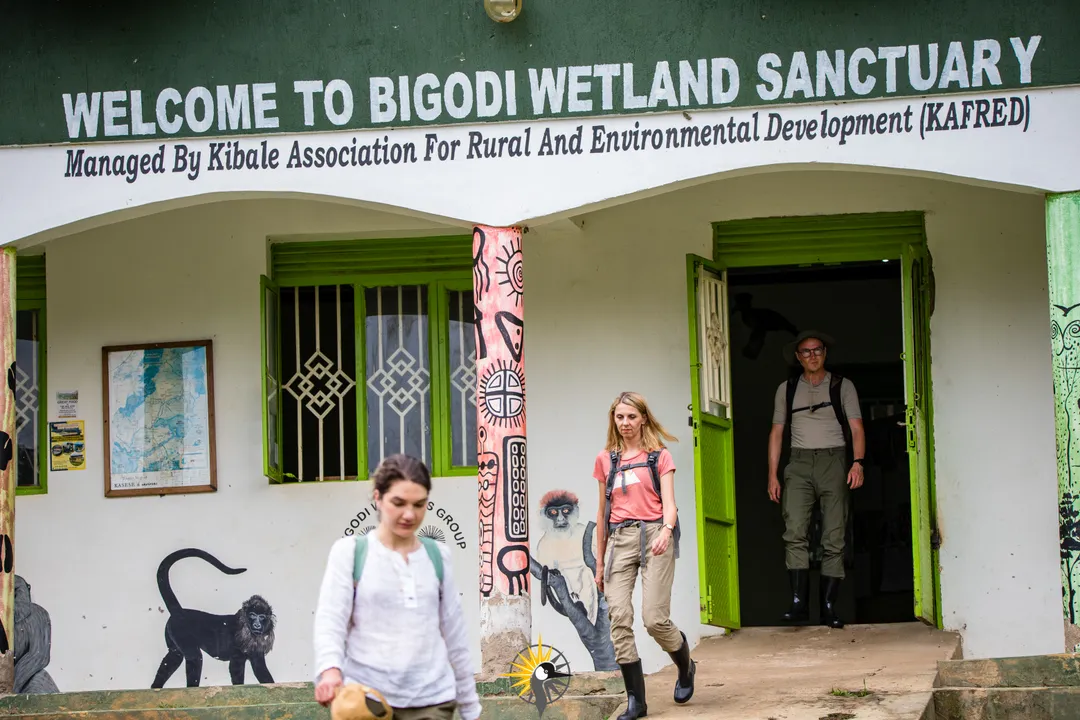 Bigodi wetland sanctuary
                              