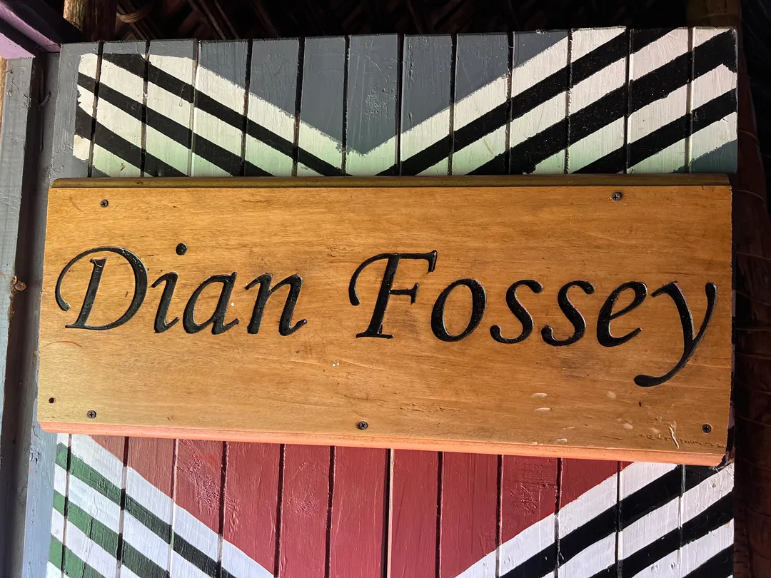 Dian Fossey Card