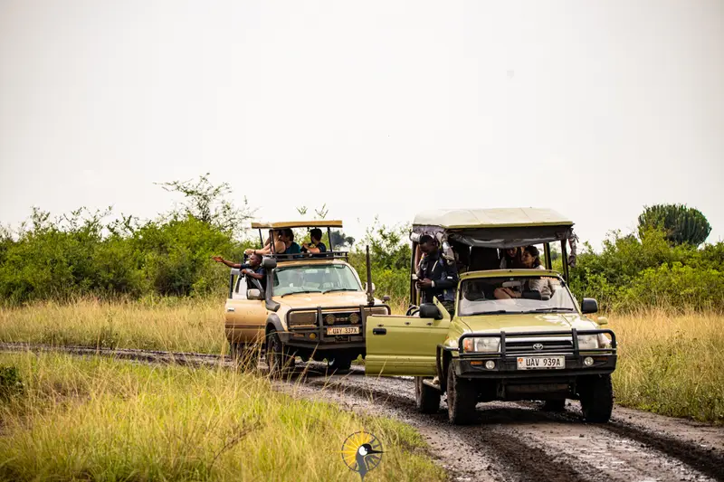 game drive vehicles