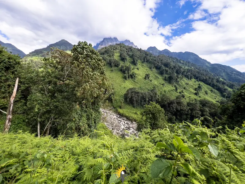 Rwenzori mountains