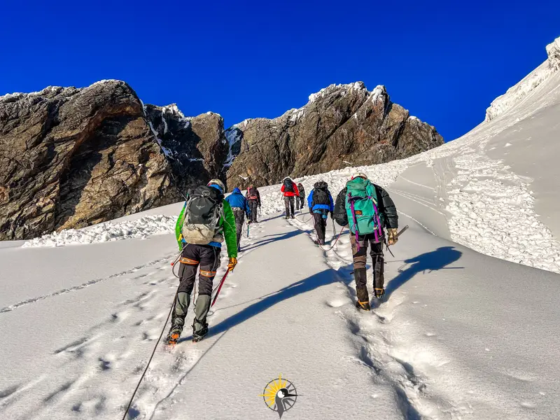 Hiking mount Rwenzori