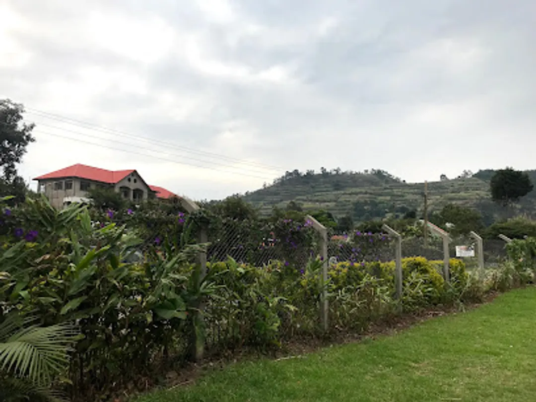 Kisoro