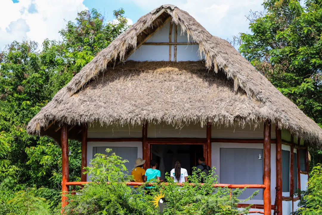 lodge in Queen Elizabeth national park
                              