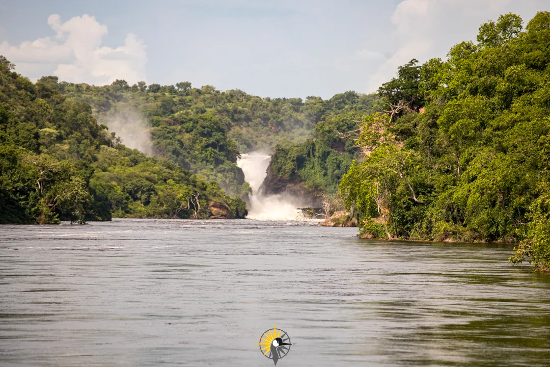 Murchison Falls in Uganda
                              