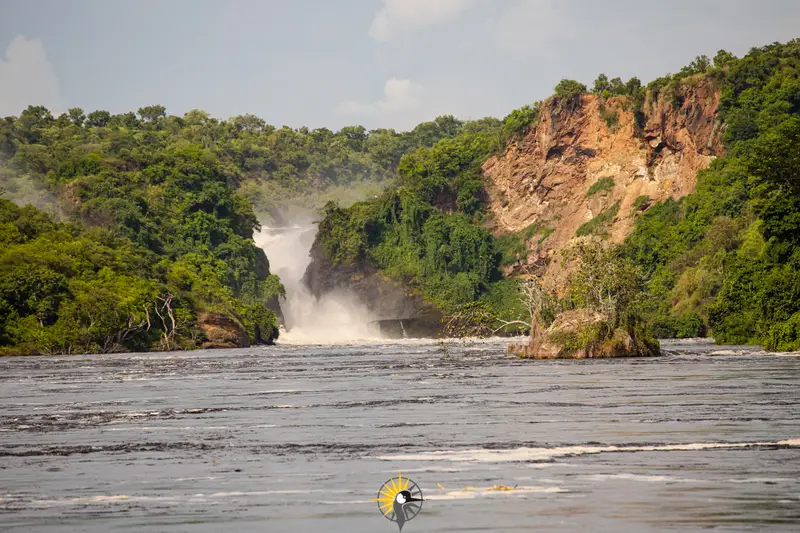 Murchison falls