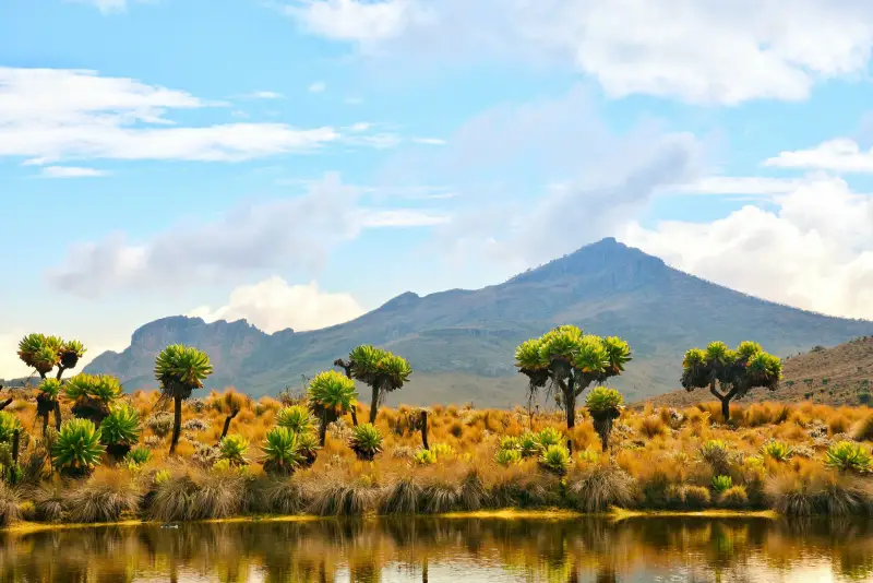 mountain elgon peaks