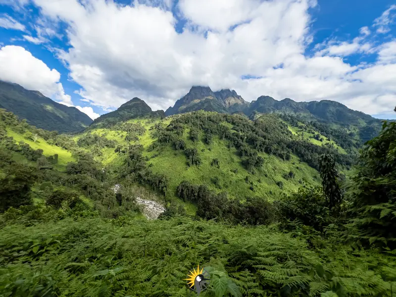 Rwenzori mountains