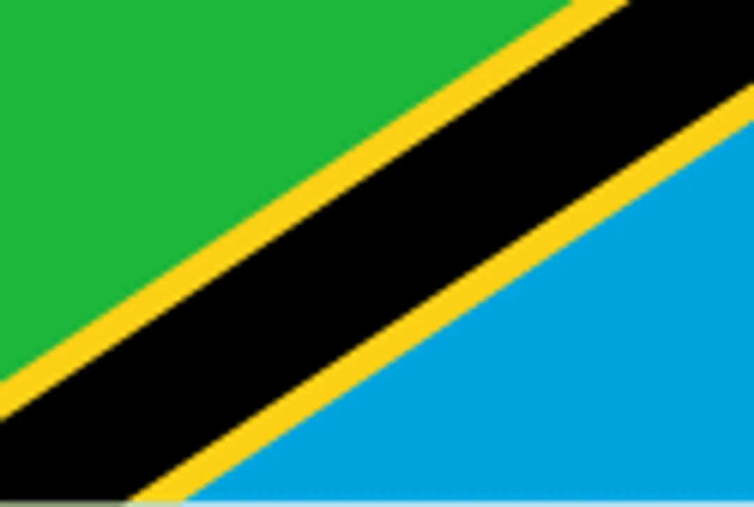 The flag of Tanzania